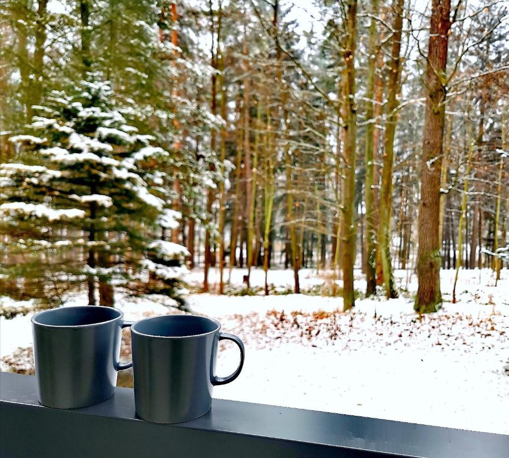 Apartament Z Widokiem Na Park Polanica-Zdrój Exteriör bild
