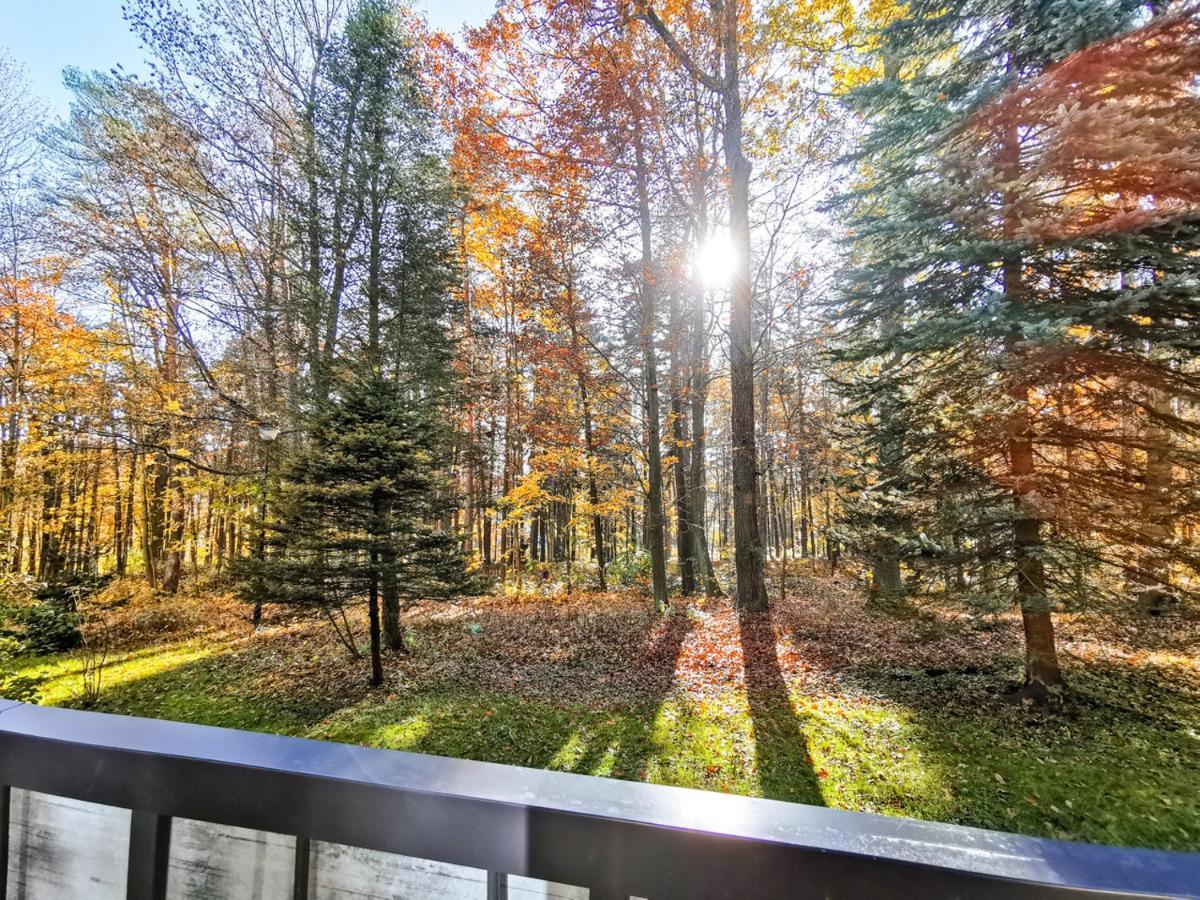 Apartament Z Widokiem Na Park Polanica-Zdrój Exteriör bild