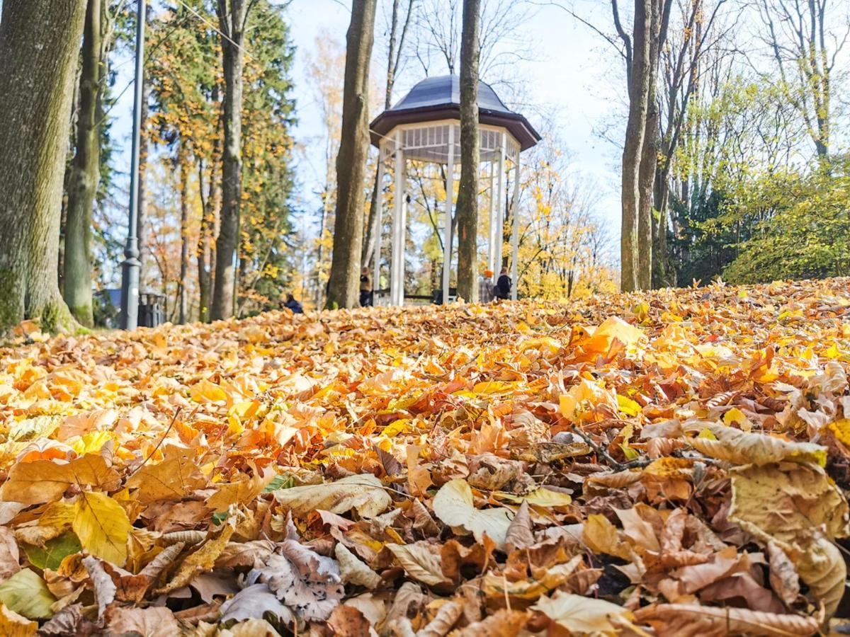 Apartament Z Widokiem Na Park Polanica-Zdrój Exteriör bild