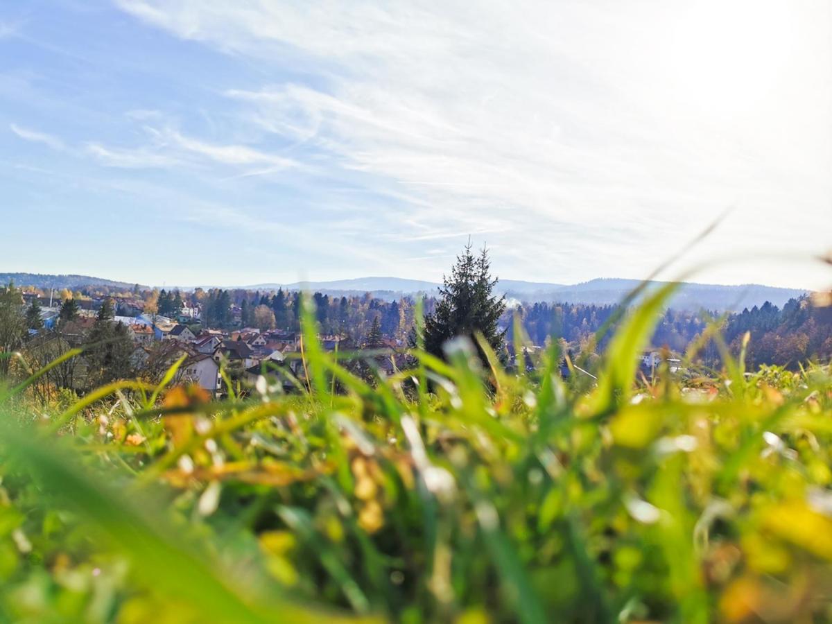 Apartament Z Widokiem Na Park Polanica-Zdrój Exteriör bild