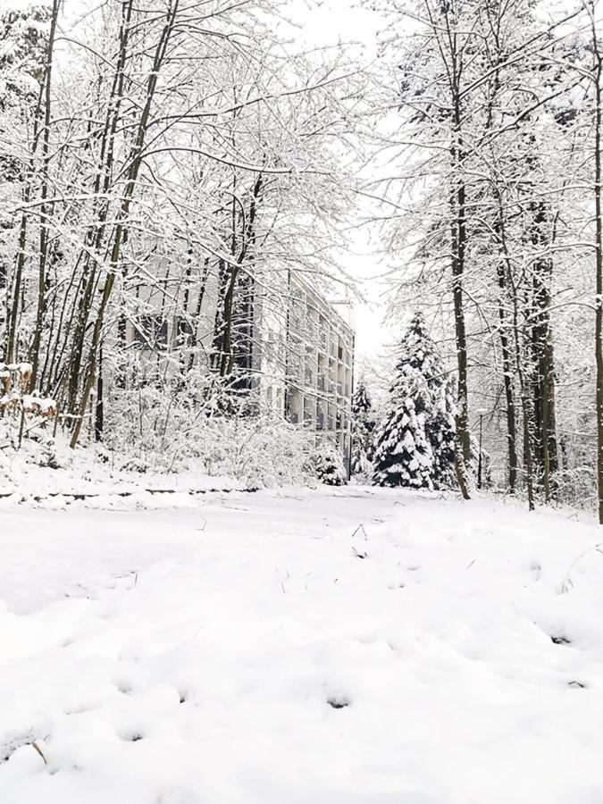 Apartament Z Widokiem Na Park Polanica-Zdrój Exteriör bild