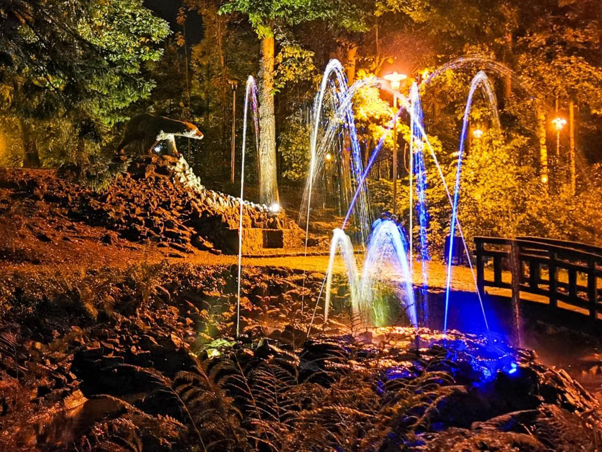 Apartament Z Widokiem Na Park Polanica-Zdrój Exteriör bild